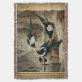 死んだ雌のケーペルカイリの周りのマギス スローブランケット (正面縦)