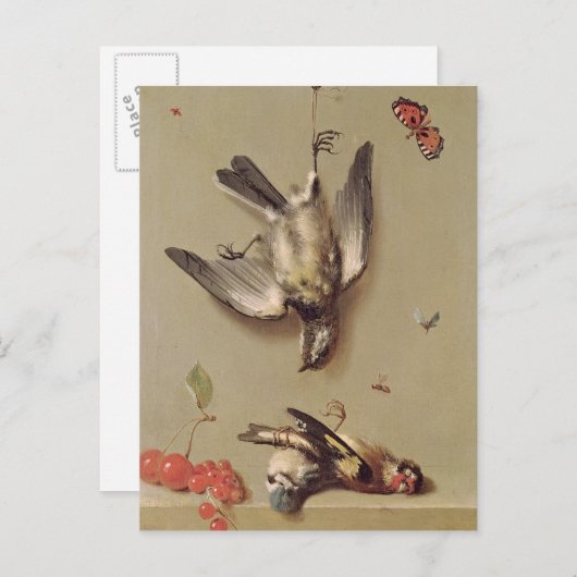 死んだ鳥とチェリーの静物、1712 ポストカード (正面/裏面)