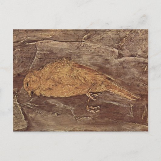 死んだ鳥 ポストカード (正面)