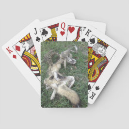 死カード トランプ