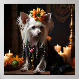 死中国のんだ日の衣装を着たトキ ポスター