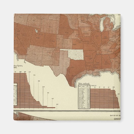 死亡、呼吸器系、消費 マグネット (正面)