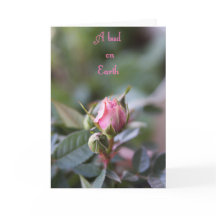 死別カード、ばら色の芽