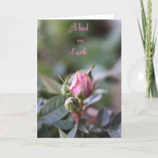 死別カード、ばら色の芽 カード