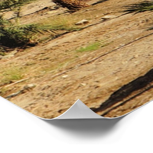 死海の風景写真 ポスター (角)