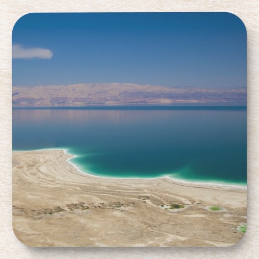 死海の高い景色 コースター (正面)