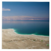 死海の高い景色 タイル (正面)