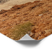 死海写真 ポスター (角)