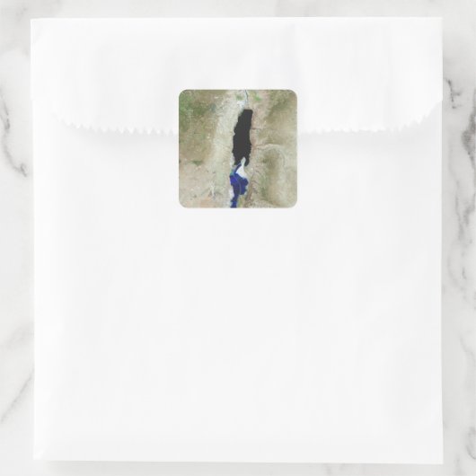 死海 スクエアシール (バッグ)