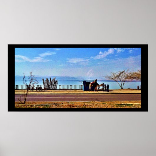 死海 ポスター (正面)