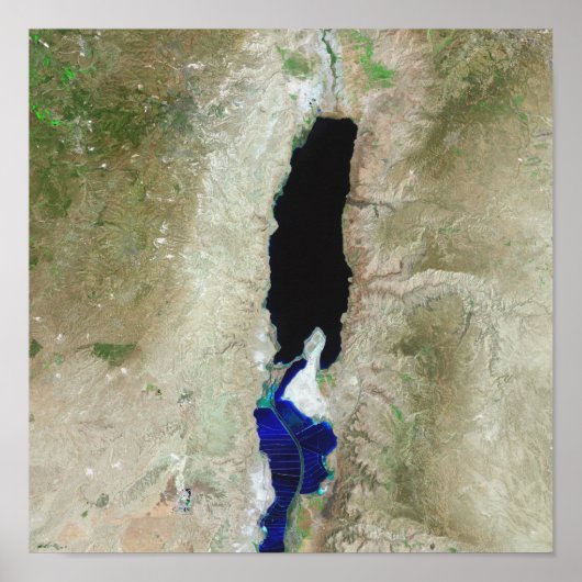 死海 ポスター (正面)