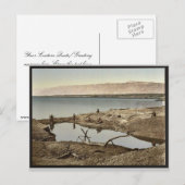 死海II、エリコ、聖地(西) ポストカード (正面/裏面)