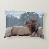 死者のグループ アクセントクッション (裏面)