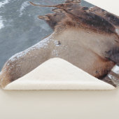 死者のグループ シェルパブランケット (3/4)