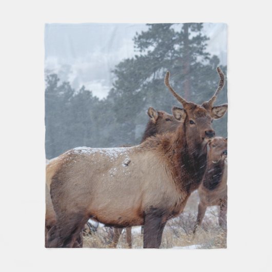 死者のグループ フリースブランケット (正面)