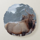 死者のグループ ラウンドクッション (正面)