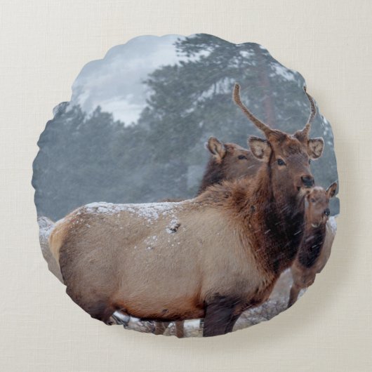 死者のグループ ラウンドクッション (正面)