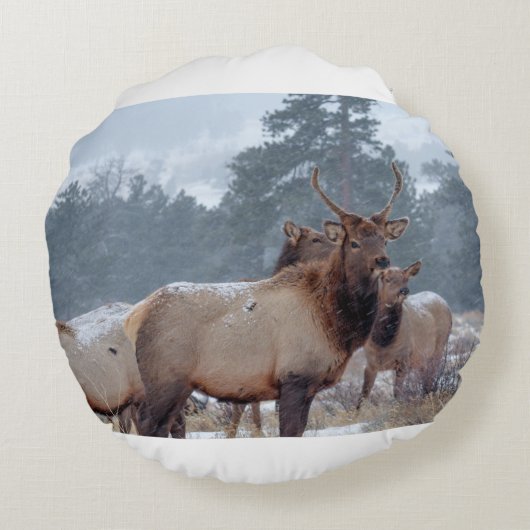 死者のグループ ラウンドクッション (裏面)