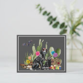 死者の日 ディア・デ・ロス・ムエルトス の犬と猫 ポストカード (スタンド正面)