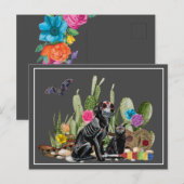 死者の日 ディア・デ・ロス・ムエルトス の犬と猫 ポストカード (正面/裏面)