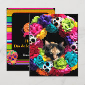 死者の日 猫のホリデーカード シーズンカード (正面/裏面)