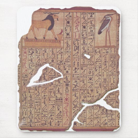 死者の本-オオハシカッコウ マウスパッド (正面)