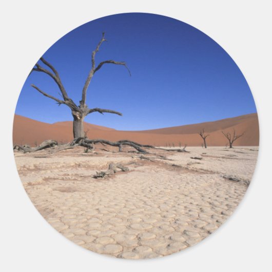 死者のVlei、Sossusvlei、Namib-Naukluft National ラウンドシール (正面)