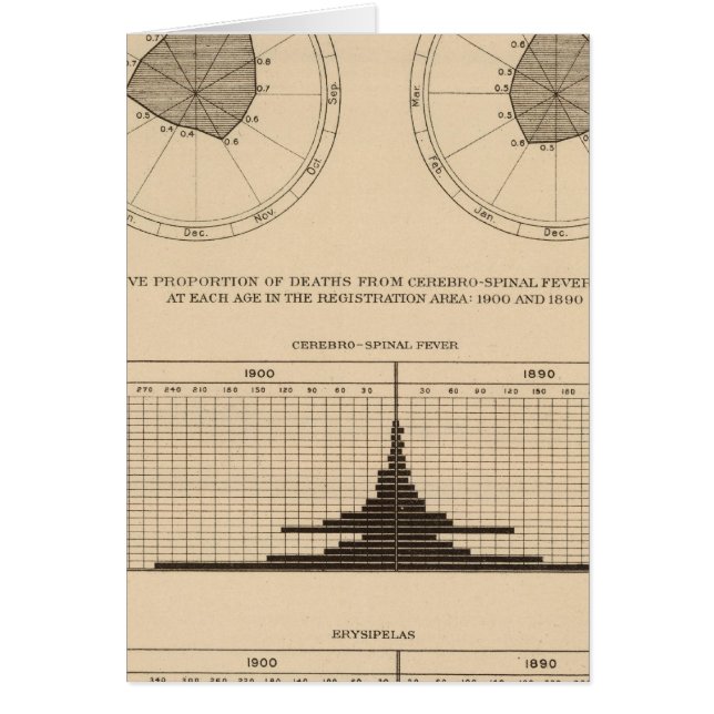 死脳脊髄熱 (正面)