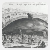 死鯨 スクエアシール (正面)