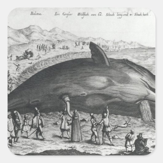 死鯨 スクエアシール (正面)