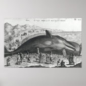 死鯨 ポスター (正面)