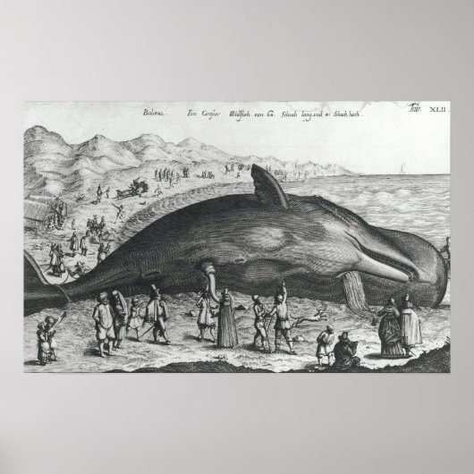 死鯨 ポスター (正面)