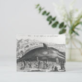 死鯨 ポストカード (スタンド正面)