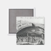 死鯨 マグネット (正面/裏面)