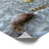 死 ポスター (角)