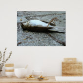 死 ポスター (キッチン)