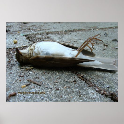 死 ポスター (正面)