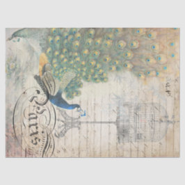 残っている孔雀の短命なもののDecoupageの紙 薄葉紙