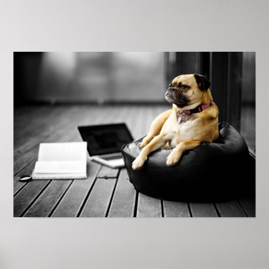 残りのパグ ポスター (正面)