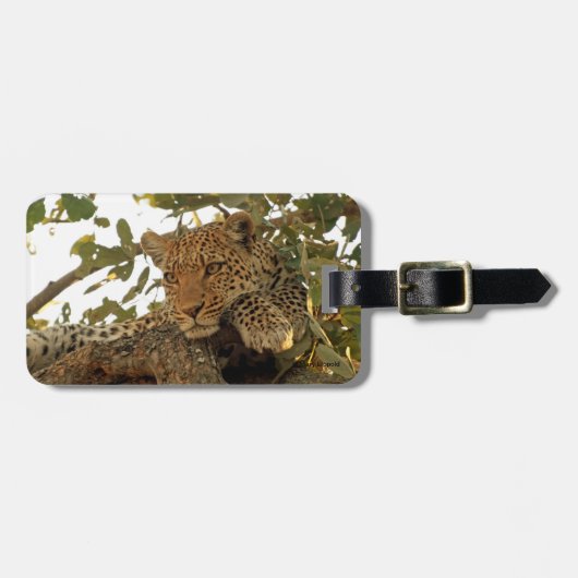 残りのヒョウ ラゲッジタグ (正面横)