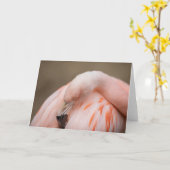 残りのフラミンゴ カード (黄色い花)