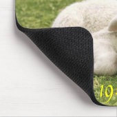 残りの内容。 II マウスパッド (コーナー)