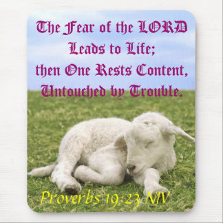 残りの内容。 II マウスパッド