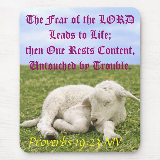 残りの内容。 II マウスパッド (正面)