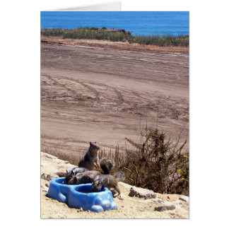 残り停止-カード