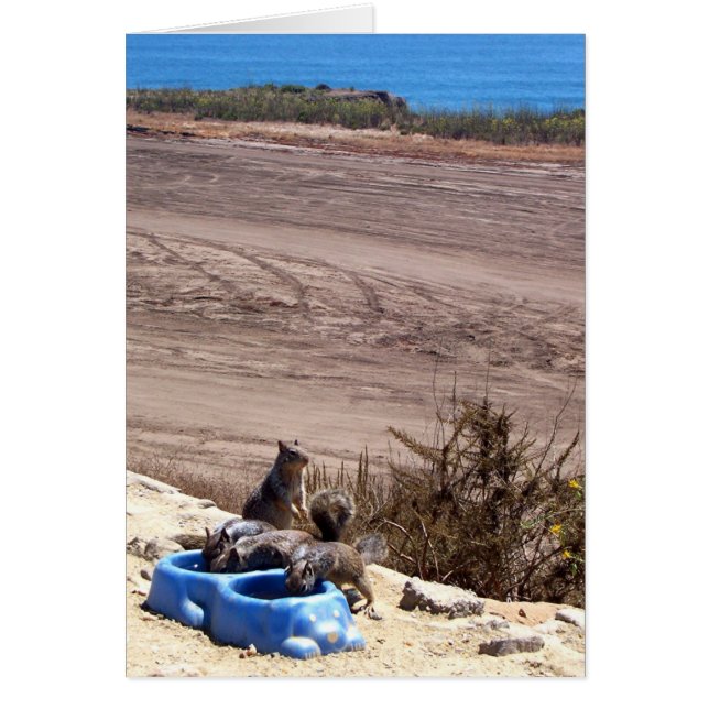 残り停止-カード (正面)