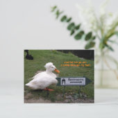 残り部屋のアヒル ポストカード (スタンド正面)