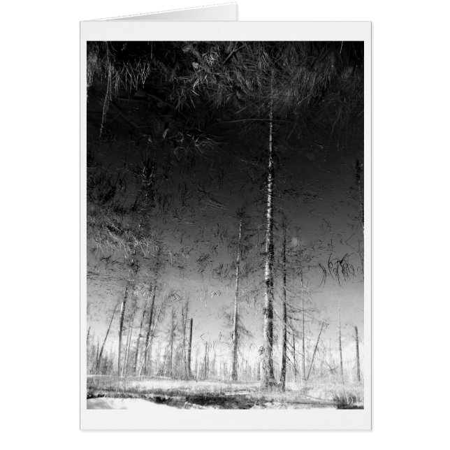 残る何が (正面)