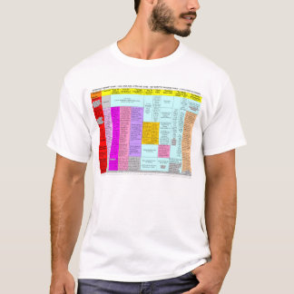残余の概略図表のTシャツ(前部だけ) Tシャツ