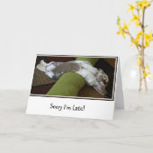 残念私は遅い挨拶状です カード (黄色い花)